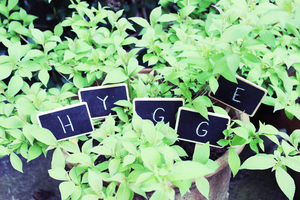 What's Hygge?