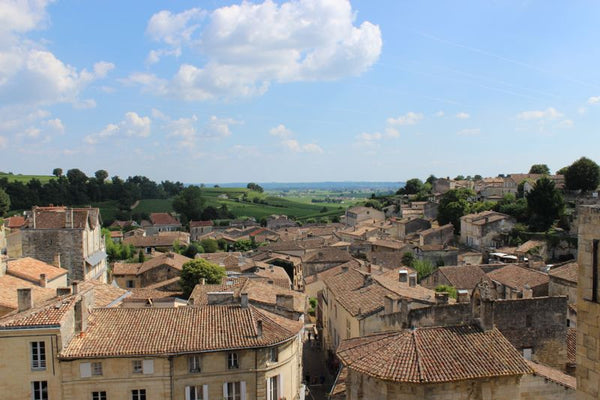 Sleeping in the Vineyard - St. Emilion