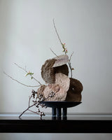 Ceramic Plate - Duck Series