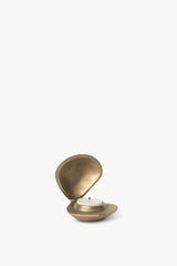 Clam Candle Holder - Brass
