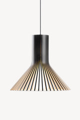 Puncto 4203 Pendant