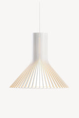 Puncto 4203 Pendant