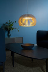 Atto 5000 Pendant