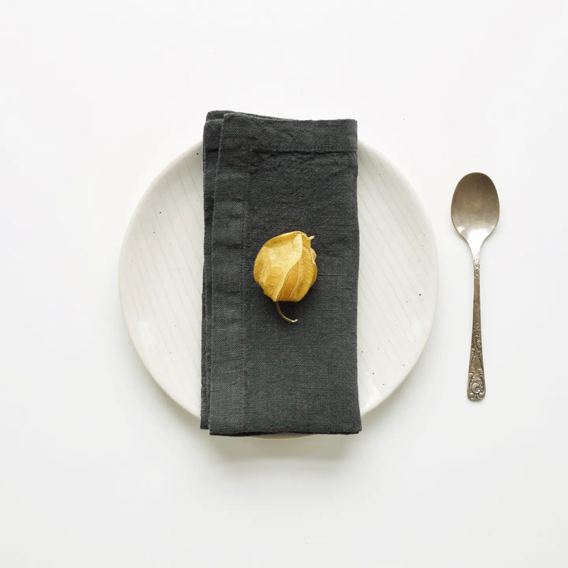 Linen Napkin - Set of Two - All Colors